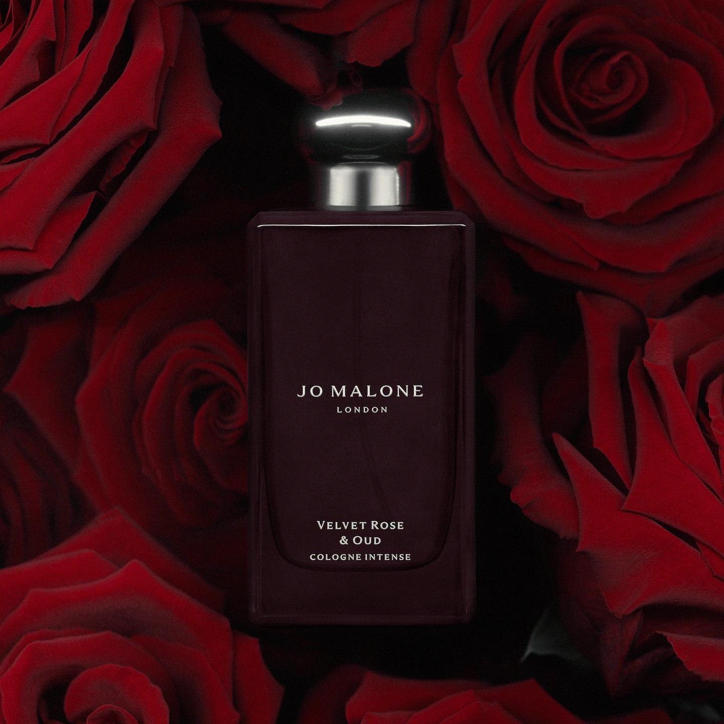 VELVET ROSE & OUD